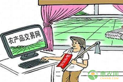 數(shù)字技術(shù)賦能，郵路變富路 中國郵政電商精準(zhǔn)扶貧引領(lǐng)返鄉(xiāng)創(chuàng)業(yè)新浪潮